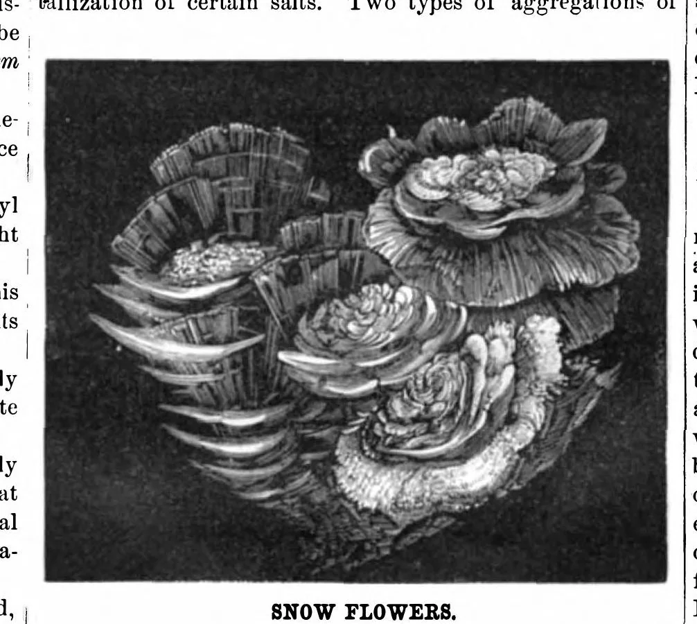 An illustration from Scientific American, Vol. 44, No. 13 (March 1881), 1881, leaf 5