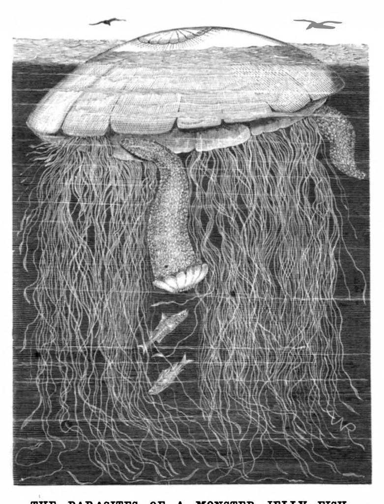 An illustration from Scientific American, Vol. 44, No. 13 (March 1881), 1881, leaf 8