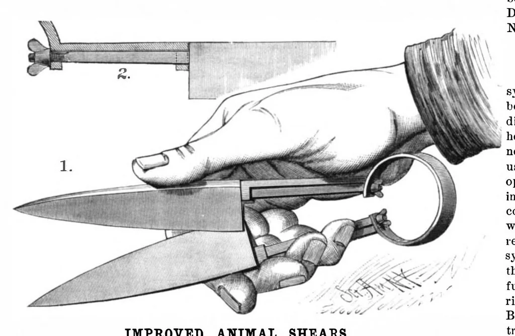 An illustration from Scientific American, Vol. 44, No. 19 (May 1881), 1881, leaf 7