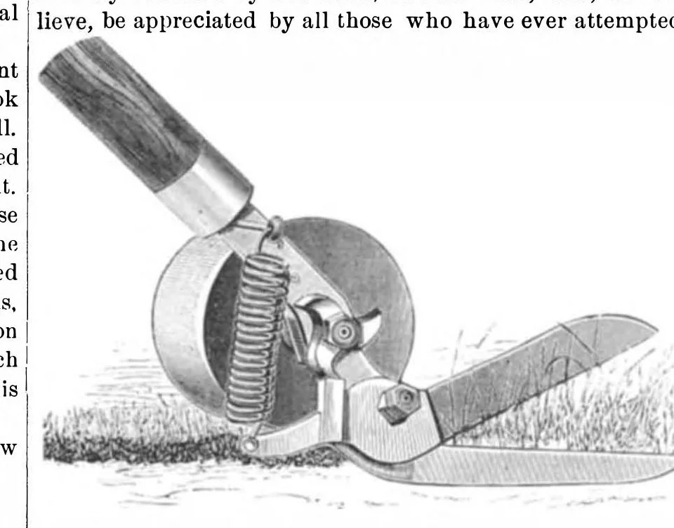 An illustration from Scientific American, Vol. 44, No. 23 (June 1881), 1881, leaf 6