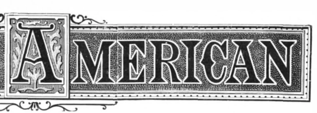 An illustration from Scientific American, Vol. 44, No. 24 (June 1881), 1881, leaf 0