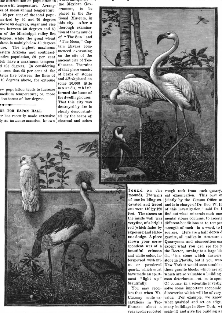 An illustration from Scientific American, Vol. 45, No. 3 (July 1881), 1881, leaf 8