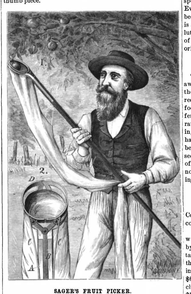 An illustration from Scientific American, Vol. 45, No. 7 (August 1881), 1881, leaf 7