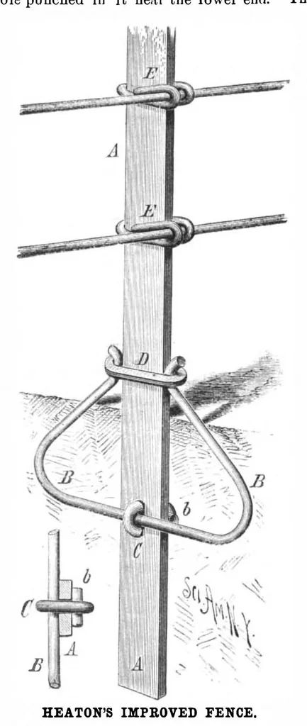 An illustration from Scientific American, Vol. 45, No. 8 (August 1881), 1881, leaf 7
