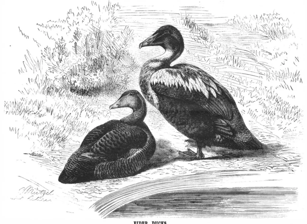 An illustration from Scientific American, Vol. 45, No. 16 (October 1881), 1881, leaf 8