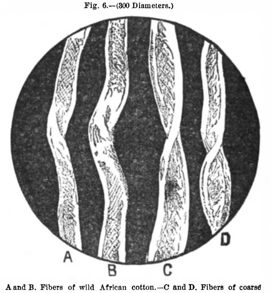 An illustration from Scientific American, Vol. 45, No. 18 (October 1881), 1881, leaf 2
