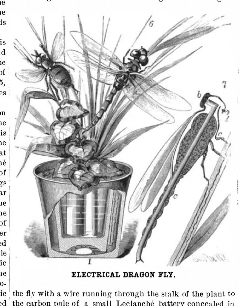 An illustration from Scientific American, Vol. 45, No. 21 (November 1881), 1881, leaf 8