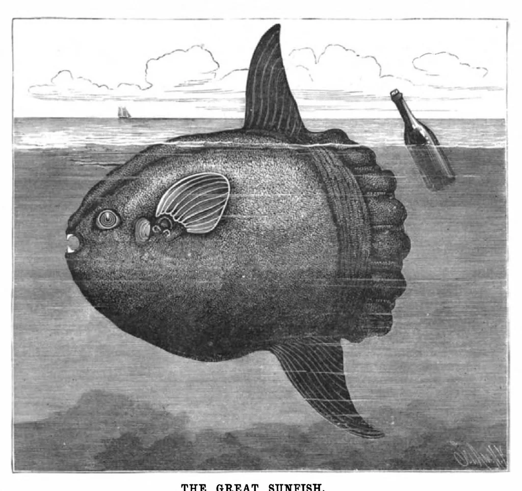 An illustration from Scientific American, Vol. 45, No. 23 (December 1881), 1881, leaf 10