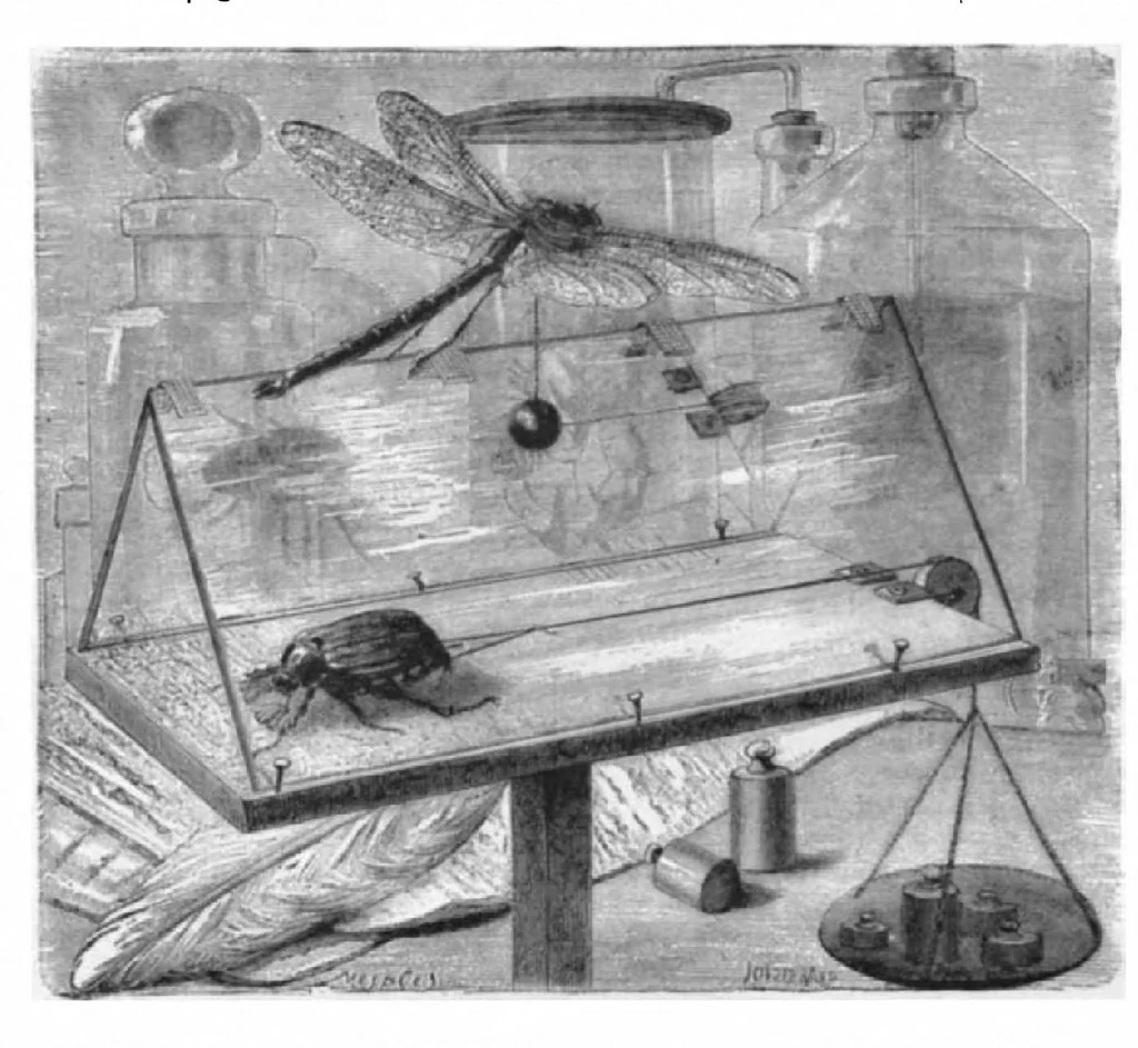 An illustration from Scientific American, Vol. 45, No. 24 (December 1881), 1881, leaf 3