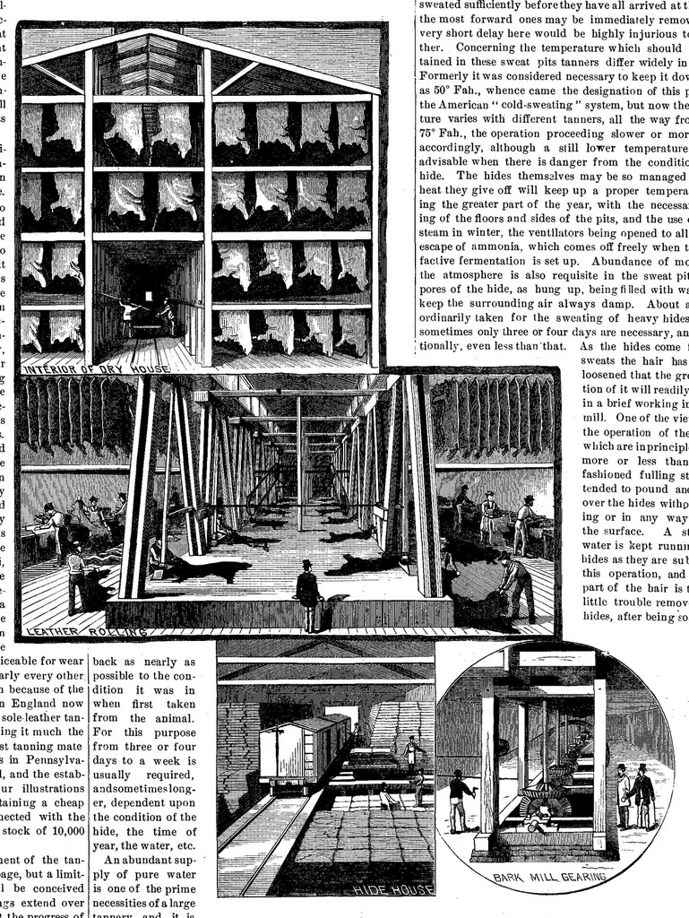An illustration from Scientific American, Vol. 46, No. 3 (January 1882), 1882, leaf 4