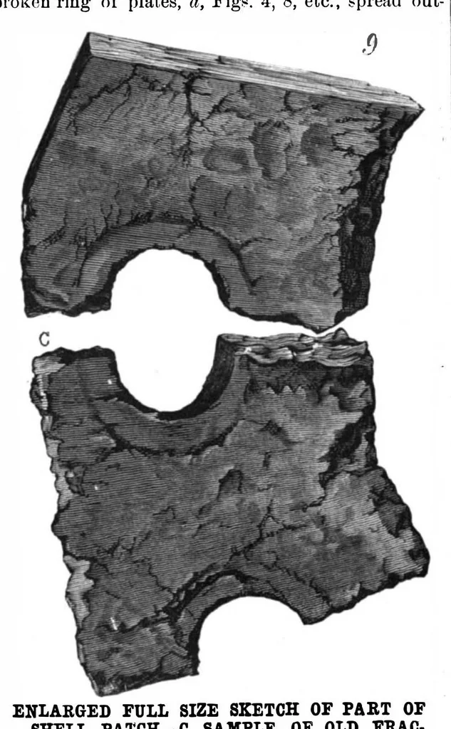 An illustration from Scientific American, Vol. 46, No. 5 (February 1882), 1882, leaf 8
