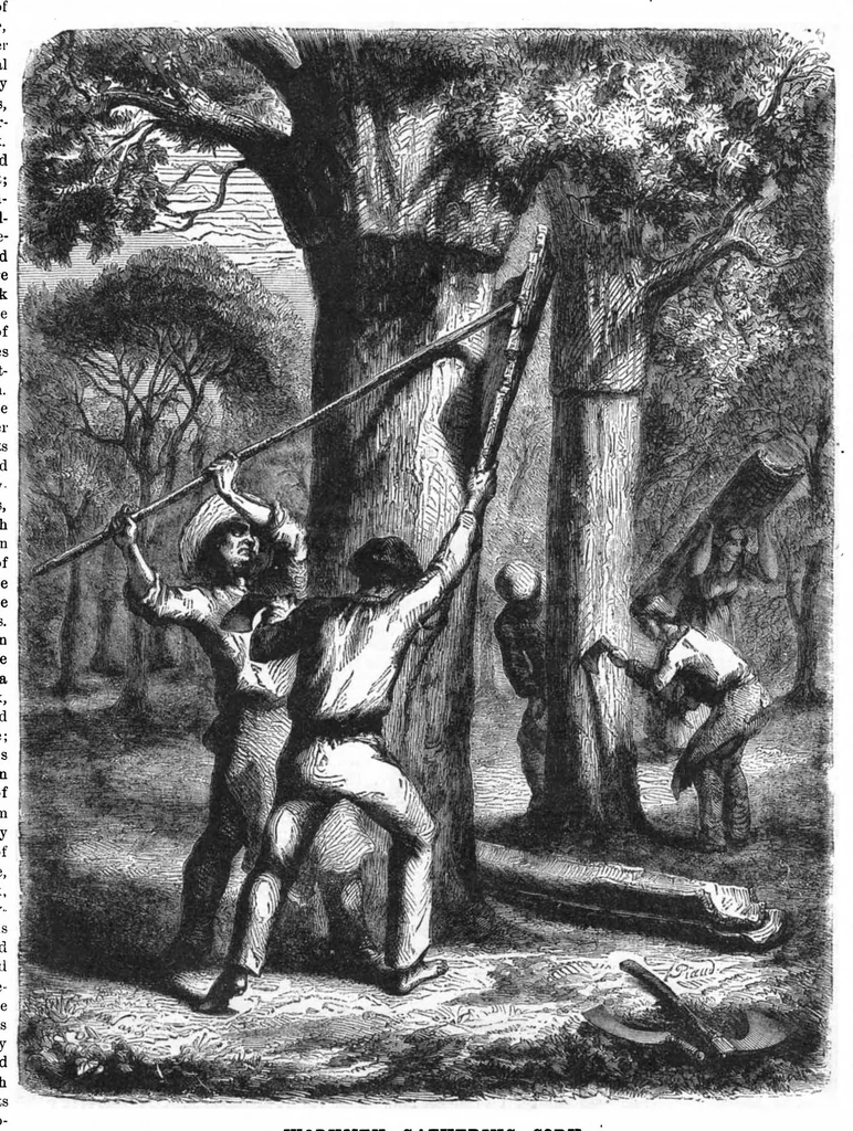 An illustration from Scientific American, Vol. 46, No. 6 (February 1882), 1882, leaf 8