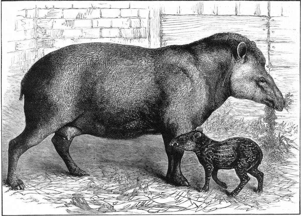 An illustration from Scientific American, Vol. 46, No. 14 (April 1882), 1882, leaf 8