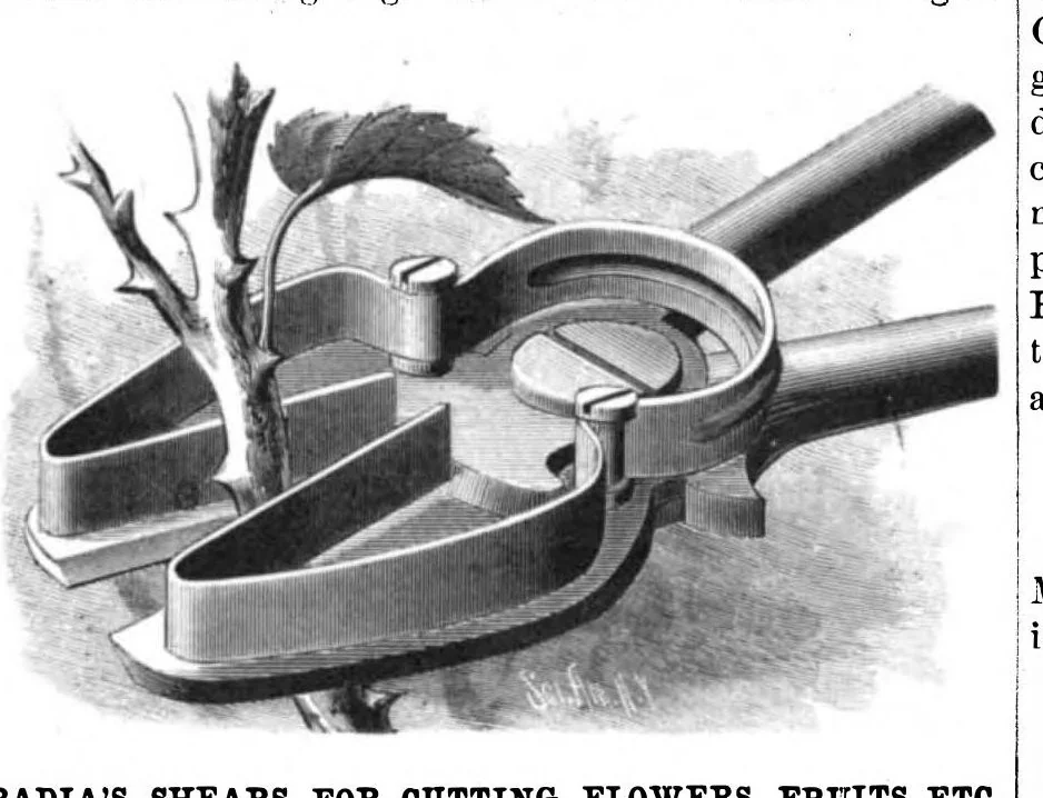 An illustration from Scientific American, Vol. 46, No. 16 (April 1882), 1882, leaf 7