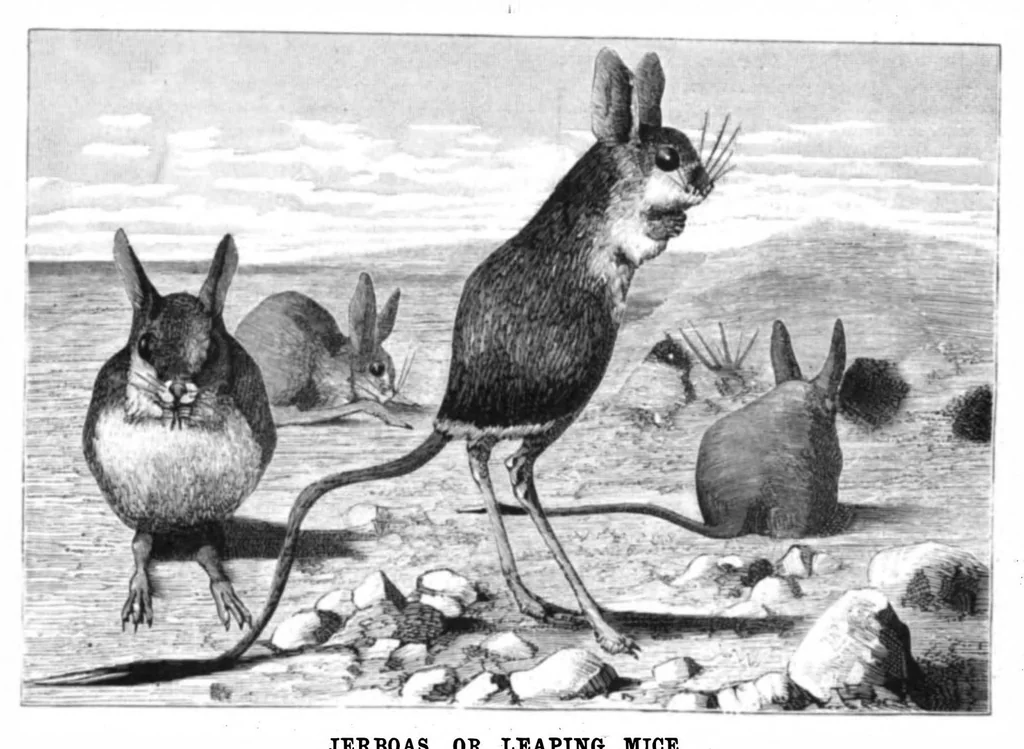 An illustration from Scientific American, Vol. 46, No. 17 (April 1882), 1882, leaf 8