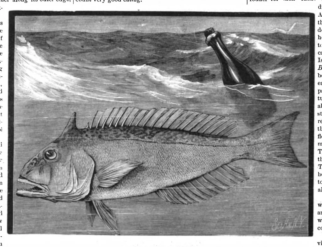 An illustration from Scientific American, Vol. 46, No. 17 (April 1882), 1882, leaf 8
