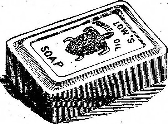 An illustration from Scientific American, Vol. 46, No. 21 (May 1882), 1882, leaf 15