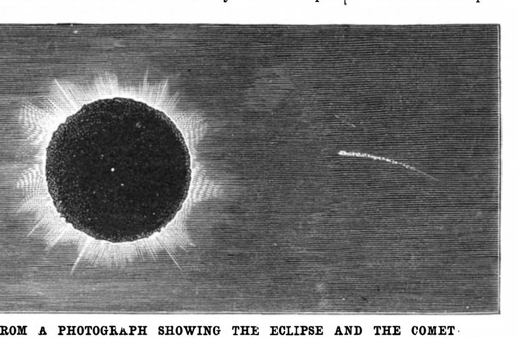 An illustration from Scientific American, Vol. 47, No. 3 (July 1882), 1882, leaf 8