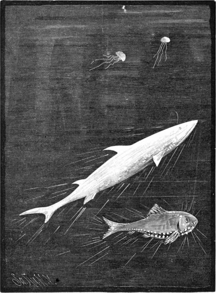 An illustration from Scientific American, Vol. 47, No. 4 (July 1882), 1882, leaf 8