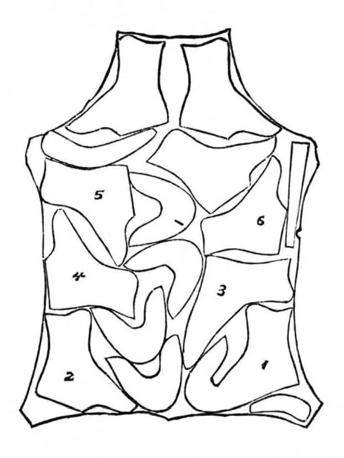 An illustration from Scientific American, Vol. 47, No. 6 (August 1882), 1882, leaf 6