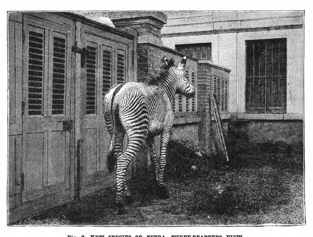 An illustration from Scientific American, Vol. 47, No. 7 (August 1882), 1882, leaf 8