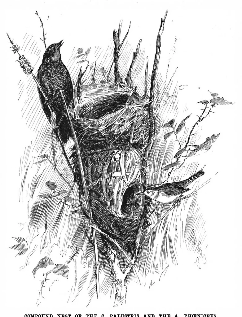 An illustration from Scientific American, Vol. 47, No. 8 (August 1882), 1882, leaf 8