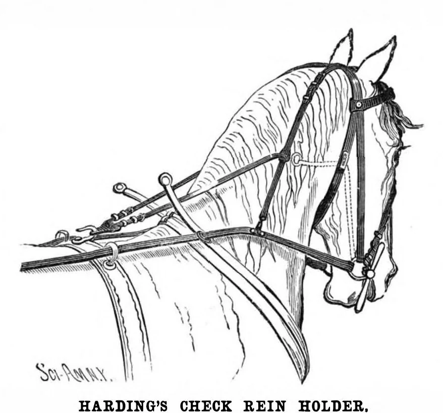 An illustration from Scientific American, Vol. 47, No. 14 (September 1882), 1882, leaf 6