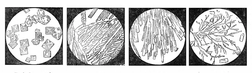 An illustration from Scientific American, Vol. 47, No. 16 (October 1882), 1882, leaf 9