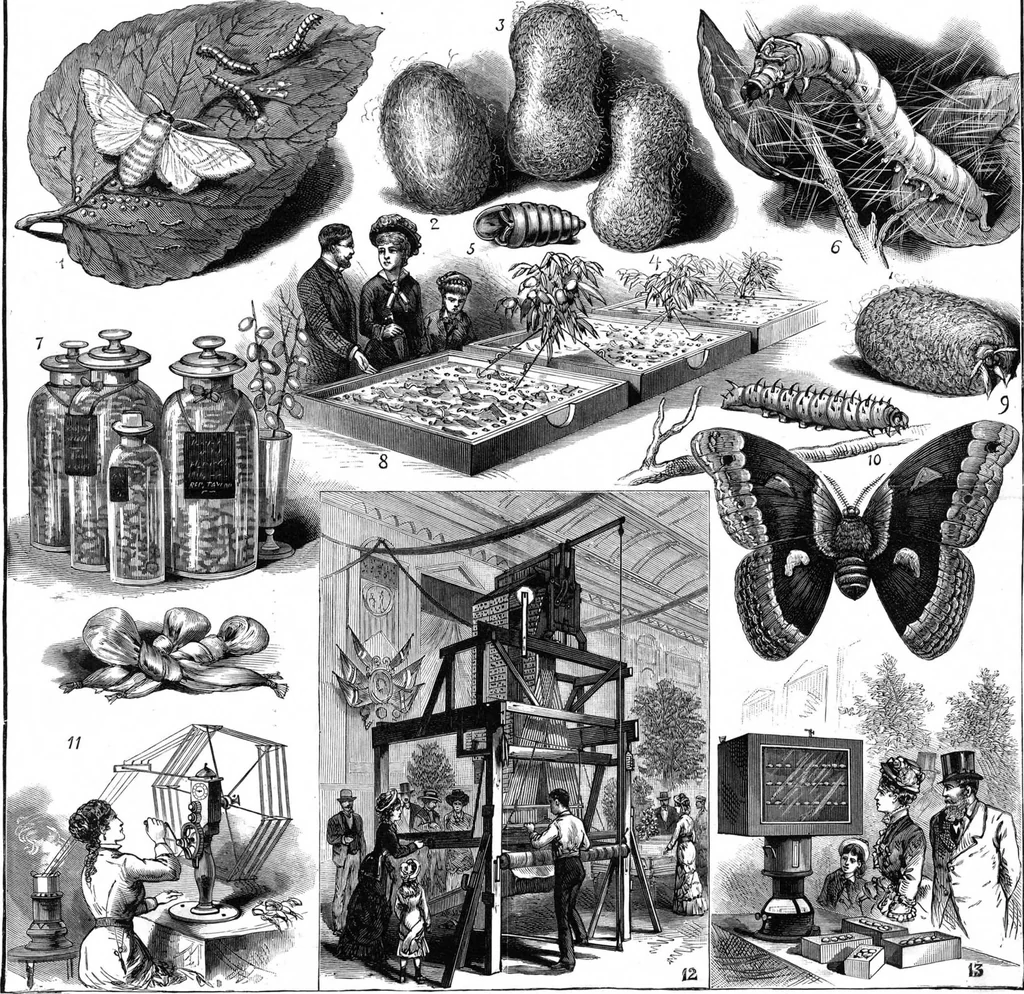 An illustration from Scientific American, Vol. 47, No. 17 (October 1882), 1882, leaf 8