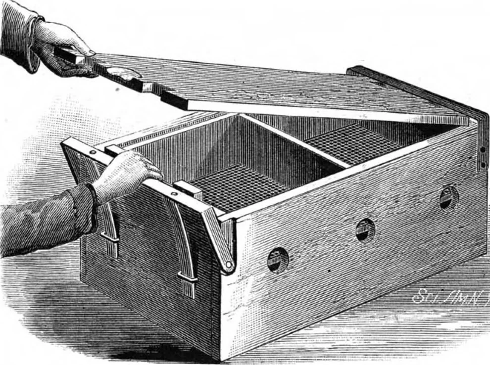 An illustration from Scientific American, Vol. 47, No. 18 (October 1882), 1882, leaf 4