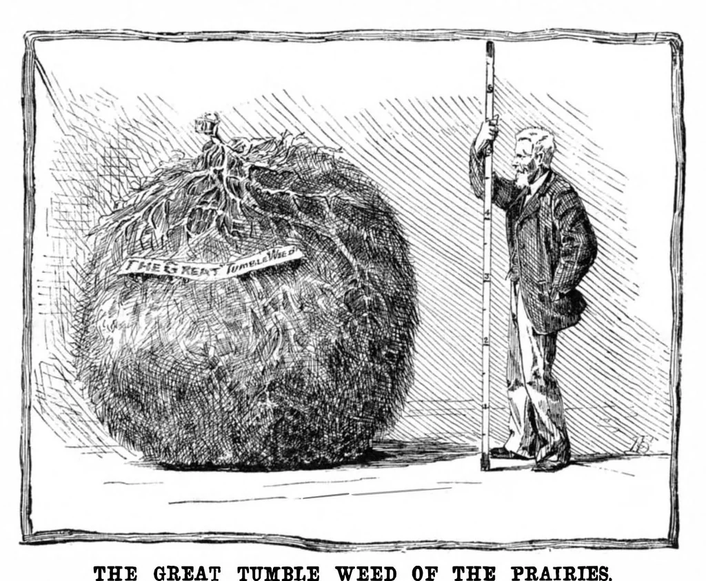 An illustration from Scientific American, Vol. 47, No. 23 (December 1882), 1882, leaf 8