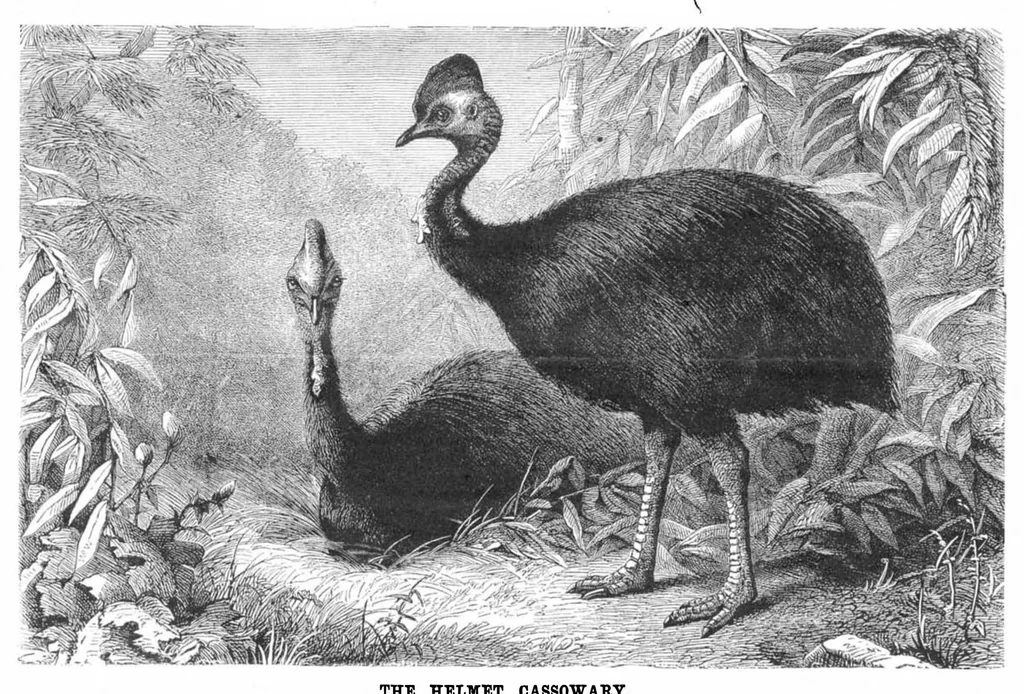 An illustration from Scientific American, Vol. 48, No. 23 (June 1883), 1883, leaf 8