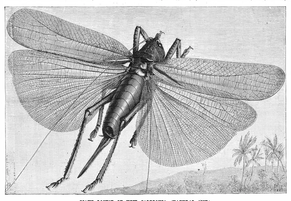 An illustration from Scientific American, Vol. 48, No. 24 (June 1883), 1883, leaf 8