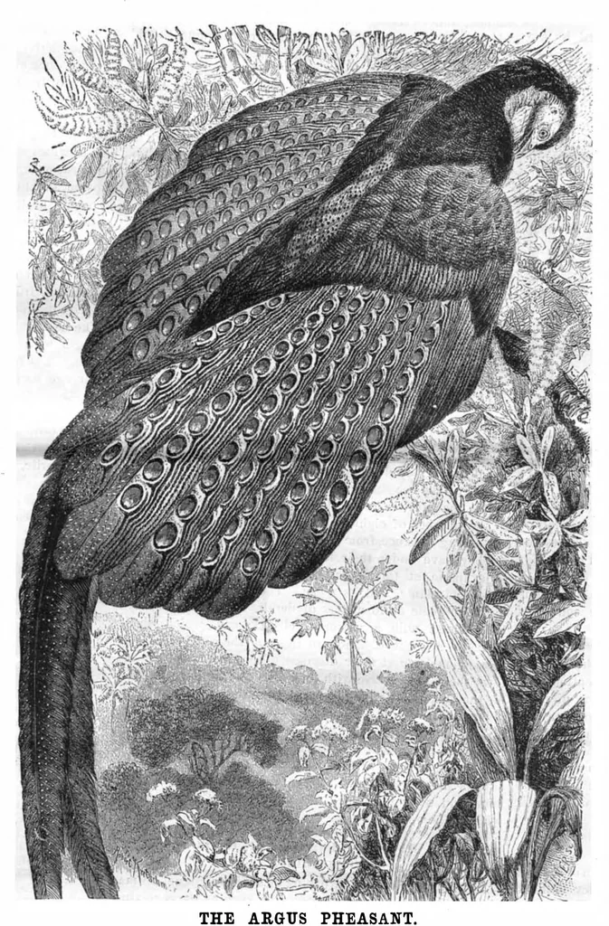 An illustration from Scientific American, Vol. 49, No. 4 (July 1883), 1883, leaf 8