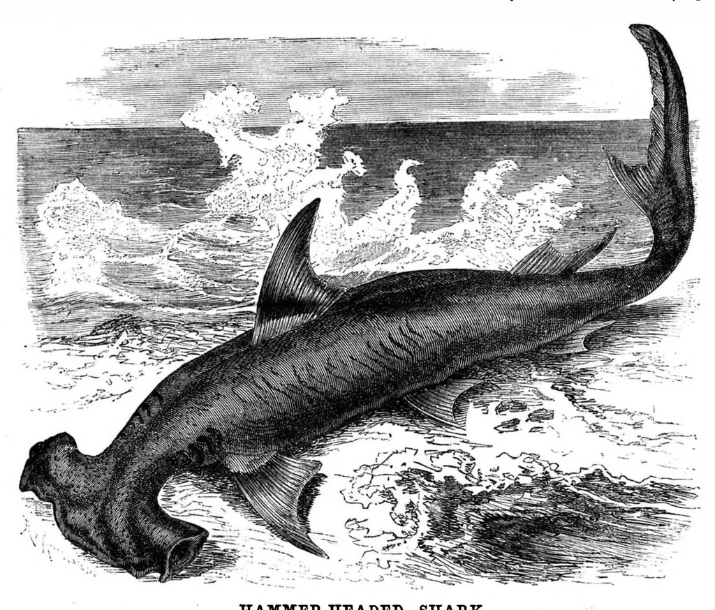 An illustration from Scientific American, Vol. 49, No. 10 (September 1883), 1883, leaf 8