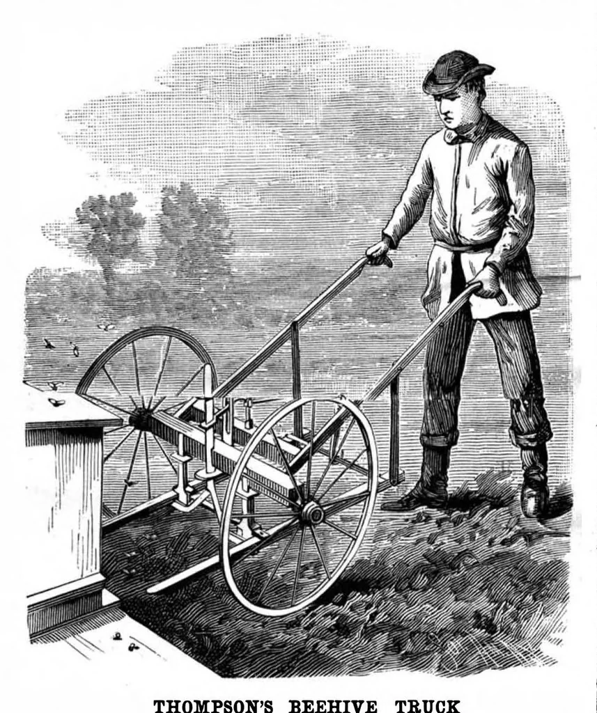 An illustration from Scientific American, Vol. 49, No. 12 (September 1883), 1883, leaf 4