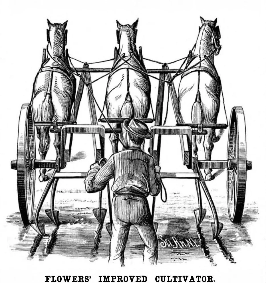 An illustration from Scientific American, Vol. 49, No. 14 (October 1883), 1883, leaf 9