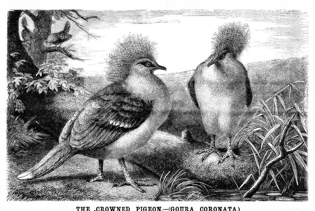 An illustration from Scientific American, Vol. 49, No. 15 (October 1883), 1883, leaf 8