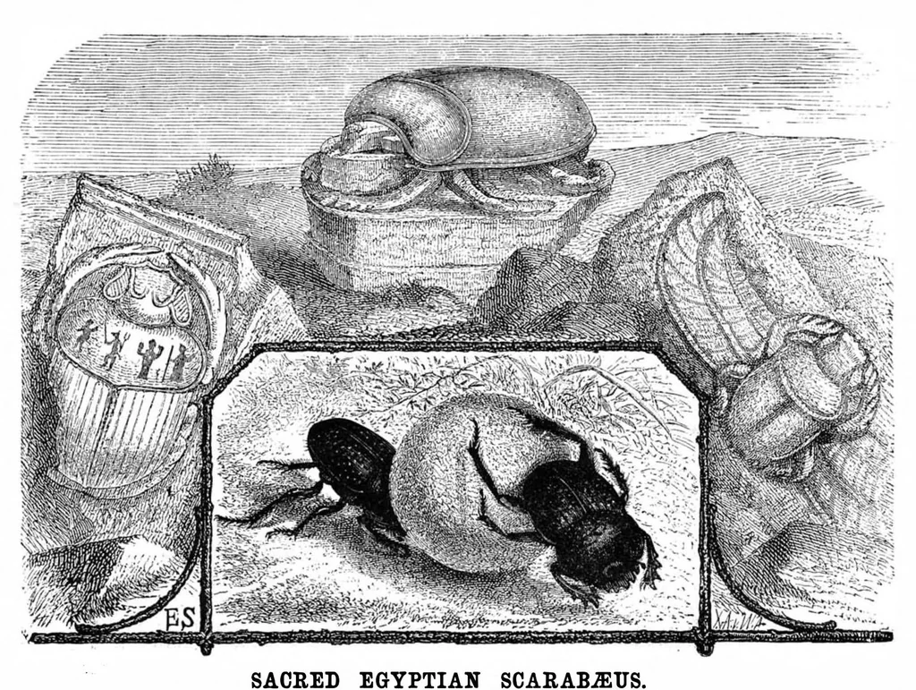 An illustration from Scientific American, Vol. 49, No. 17 (October 1883), 1883, leaf 8