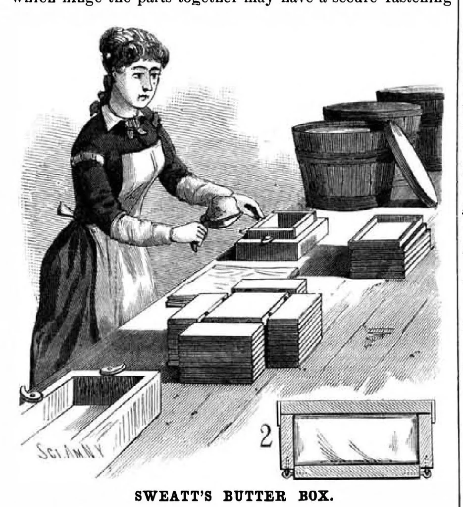 An illustration from Scientific American, Vol. 49, No. 19 (November 1883), 1883, leaf 3