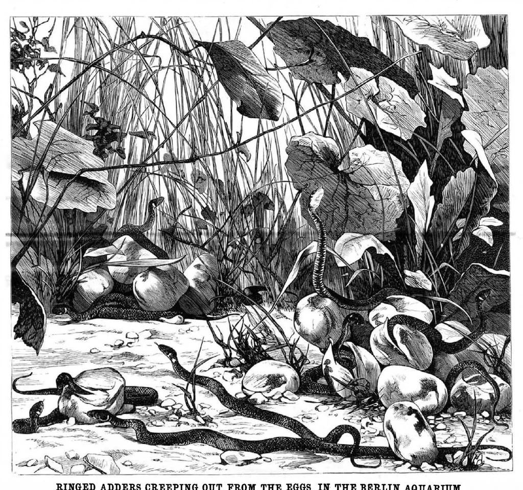 An illustration from Scientific American, Vol. 49, No. 19 (November 1883), 1883, leaf 8