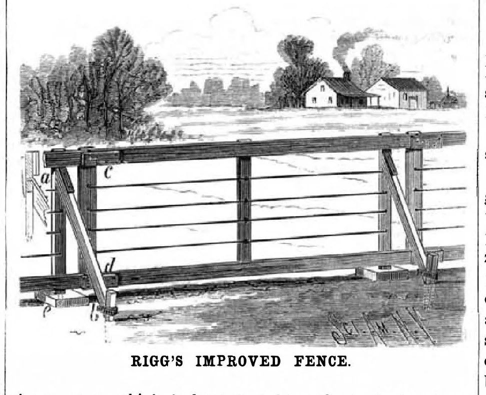 An illustration from Scientific American, Vol. 49, No. 19 (November 1883), 1883, leaf 9
