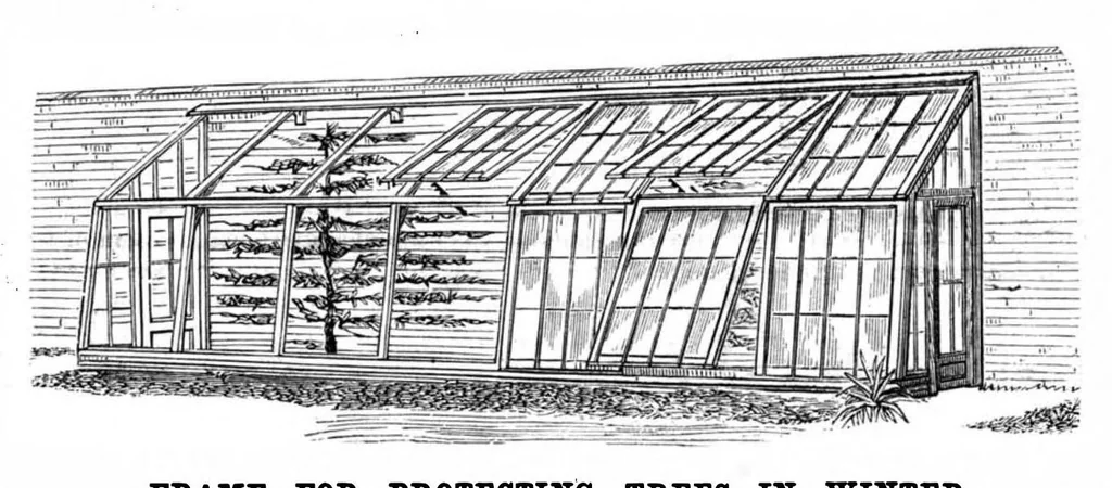 An illustration from Scientific American, Vol. 49, No. 24 (December 1883), 1883, leaf 5
