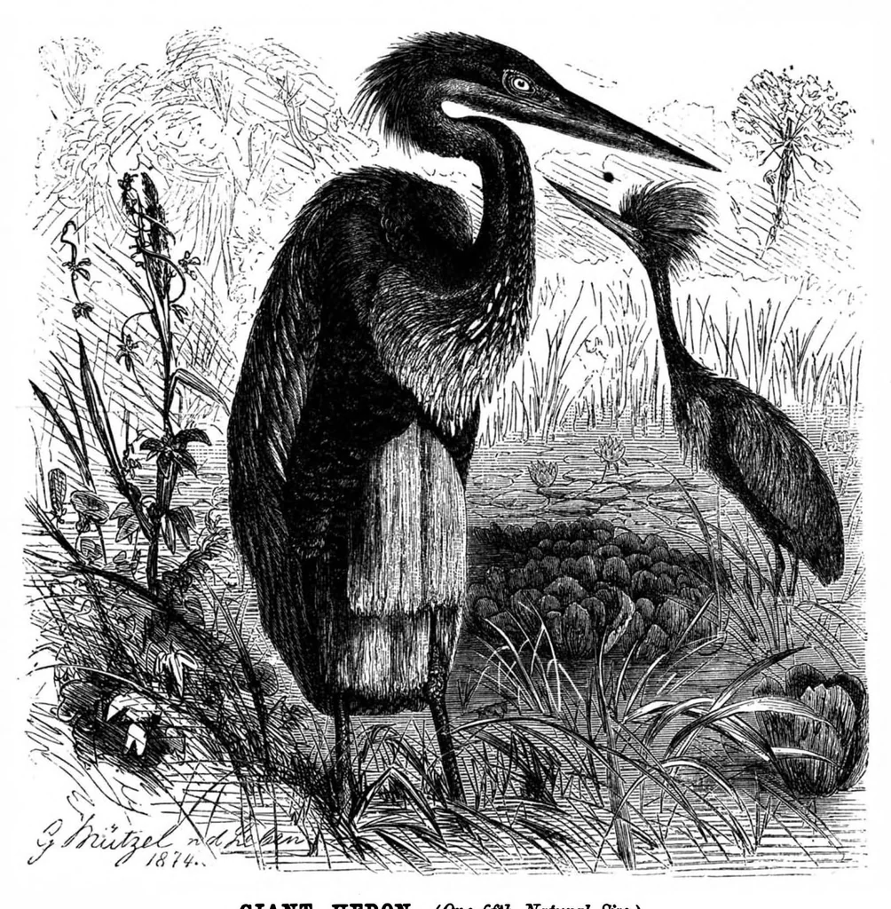 An illustration from Scientific American, Vol. 49, No. 24 (December 1883), 1883, leaf 8
