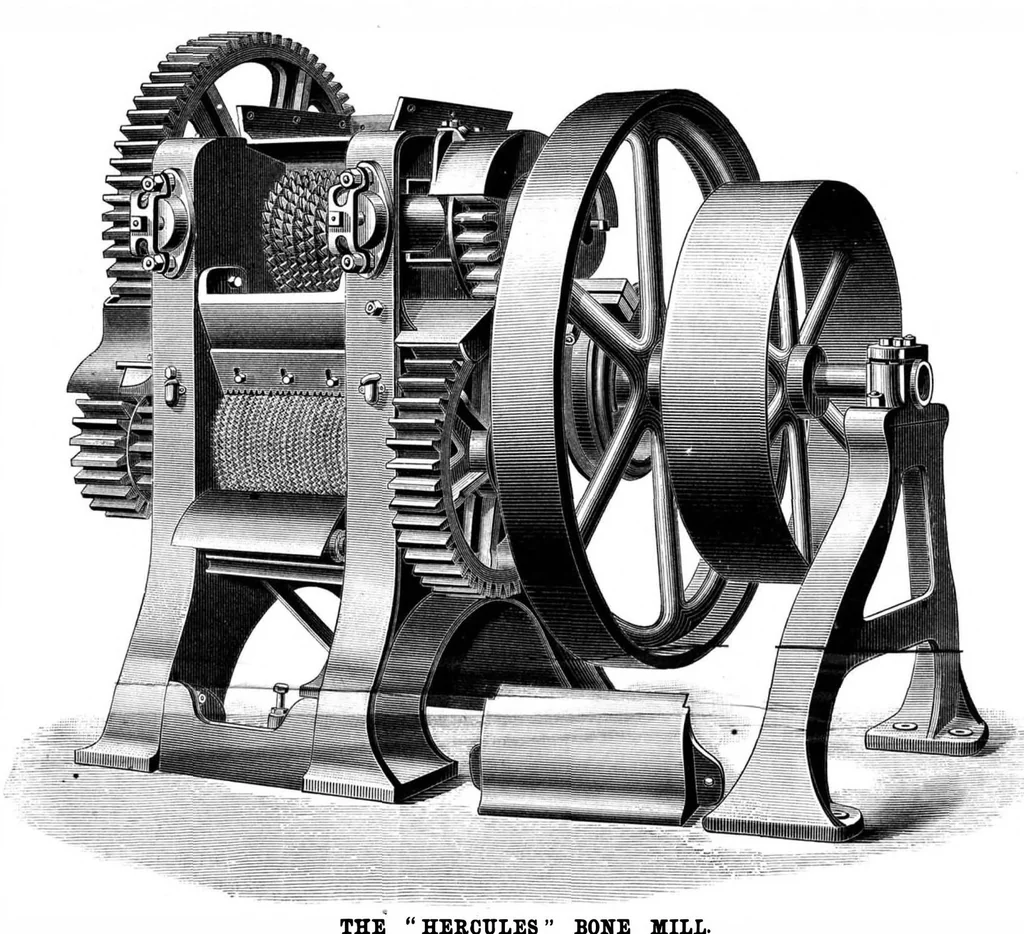 An illustration from Scientific American, Vol. 49, No. 25 (December 1883), 1883, leaf 3