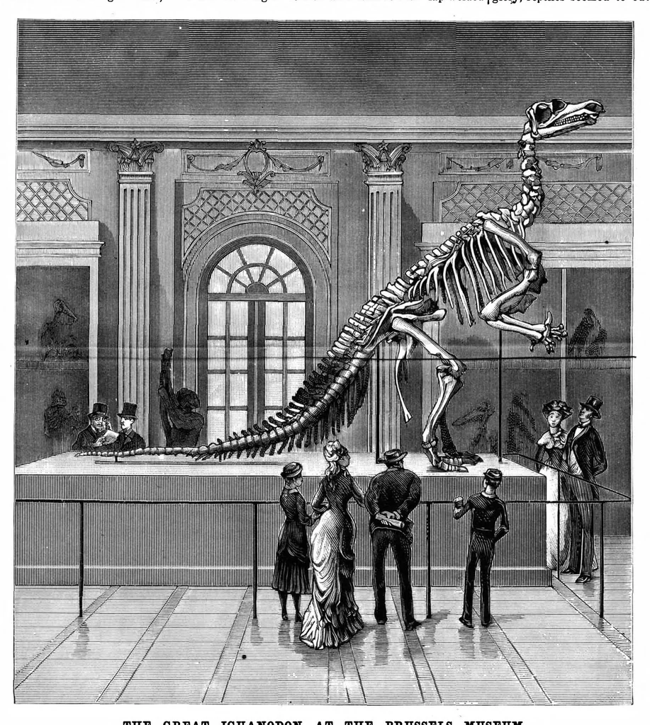 An illustration from Scientific American, Vol. 49, No. 25 (December 1883), 1883, leaf 8