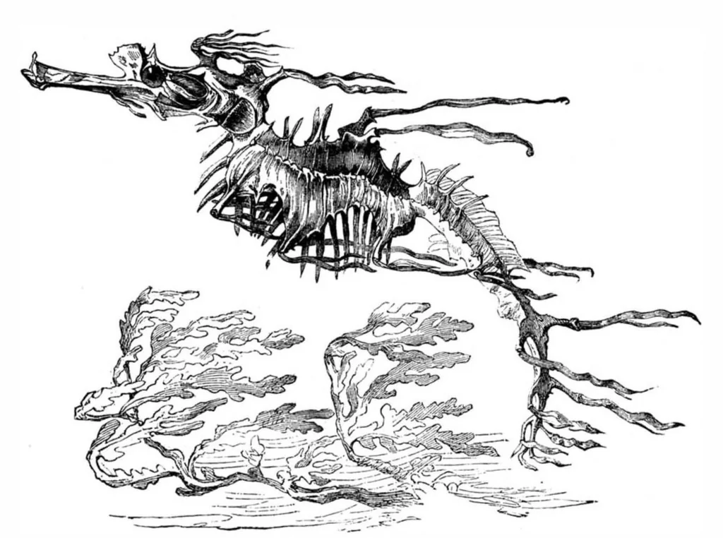 An illustration from Scientific American, Vol. 49, No. 26 (December 1883), 1883, leaf 8