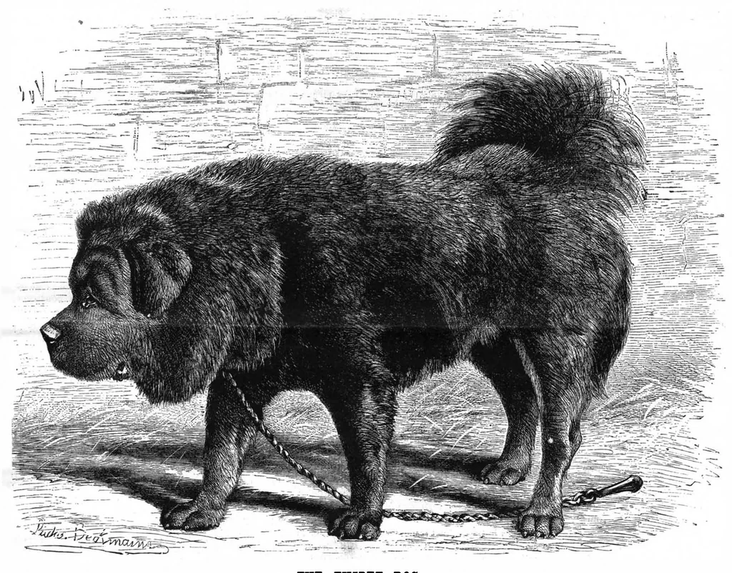 An illustration from Scientific American, Vol. 50, No. 2 (January 1884), 1884, leaf 8