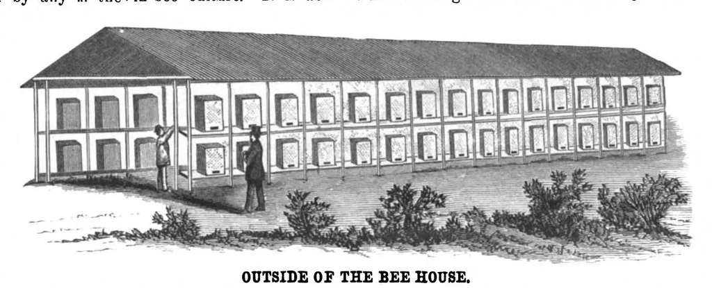 An illustration from Scientific American, Vol. 50, No. 5 (February 1884), 1884, leaf 7