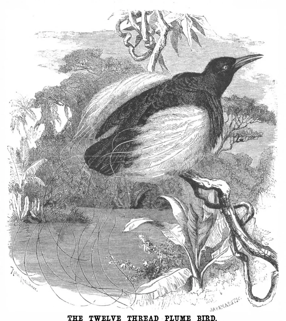 An illustration from Scientific American, Vol. 50, No. 12 (March 1884), 1884, leaf 8